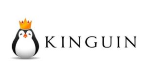 Kinguin-300×173
